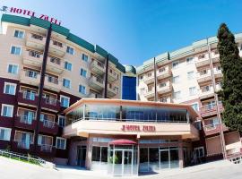 Gambaran Hotel: Hotel Zileli