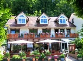 Landhotel Fasanenhof, hotel in Eschwege