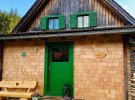 Hotel fotoğraf: Zirbitz Hütte mit Sauna und Kamin