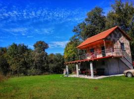 Фотографія готелю: House on the river Plavnica