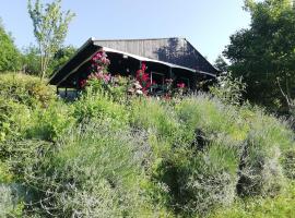 Baranja Black Hill's, hotel v destinaci Gajić