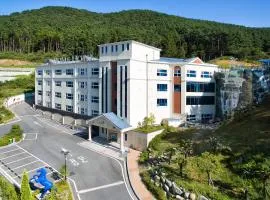 巨济圆顶酒店