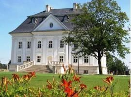 A picture of the hotel: Hotel Pałac Borynia