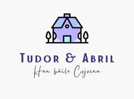 รูปภาพของโรงแรม: Cazare tudor&abril