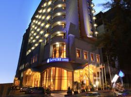 Sapphire Addis, hotel v destinaci Addis Abeba