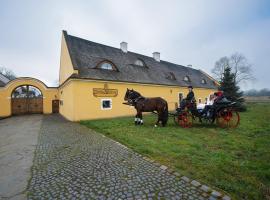 होटल की एक तस्वीर: Dvůr Olšiny -Hotel and Horse-riding