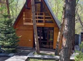 Woodland cottages