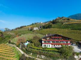 Hotel fotoğraf: Petaunerhof