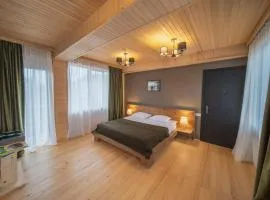 Hotel Old House Mestia