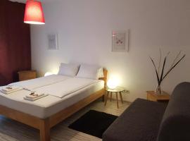 Hotel Photo: Wine Wizit Room in Babushkina street