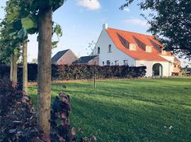 Zdjęcie hotelu: B&B Biesvenhof