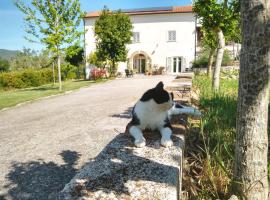 Hotel fotoğraf: Le Piracante