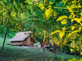 A picture of the hotel: Kolibe - Robinson camp Kupa