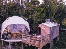 Bubble Dome Village
