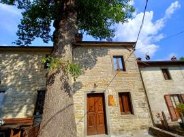 A picture of the hotel: CASINA LA QUERCIA