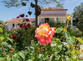 Hotel foto: Quinta de São Pedro