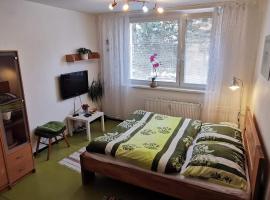 A picture of the hotel: Apartmán v Jihlava City