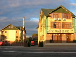 Hotelfotos: Pensiunea Cora