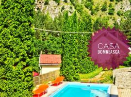 Casa Domneasca、バイア・デ・フィエルのホテル
