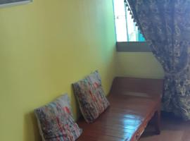 A picture of the hotel: Baquiran Apartelle