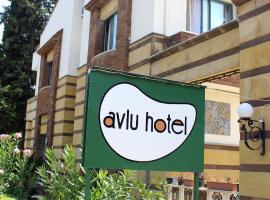 Hotel Photo: Avlu Hotel