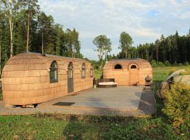 A picture of the hotel: Kuldallika igloo house and iglusauna