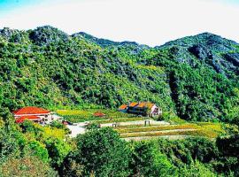 Hotel fotoğraf: Eco Winery Lipovac Apartments