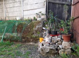 Casa Adrian CAMERE CENTRU VECHI, Hotel in Braşov