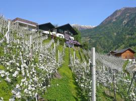 Zdjęcie hotelu: Apartment Oberpasseirerhof St- Martin im Passeiertal - IDO02100b-DYA