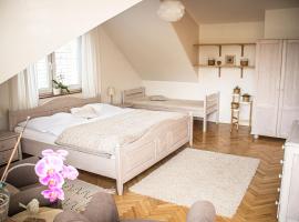 A picture of the hotel: Apartmány u Petry