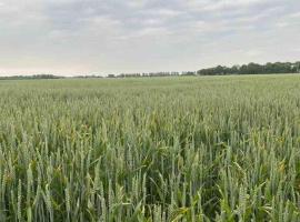 صور الفندق: Schrijvershuisje - sfeer & stilte Zeeuws Vlaanderen