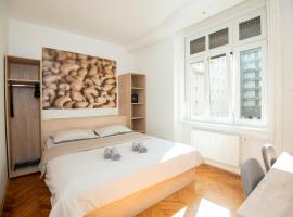 维拉之屋酒店，位于卢布尔雅那的酒店