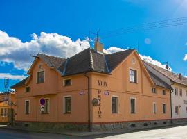 A picture of the hotel: Penzion Vion