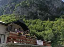 Hotel Foto: Apartmani Tara i Zabojsko Dobrilovina