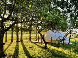 Under Canvas Bornholm
