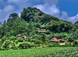 Photo de l’hôtel: Finca Neblina del Bosque