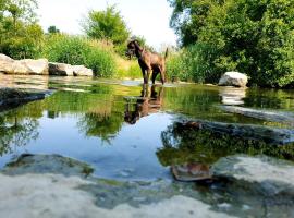 Zdjęcie hotelu: Ferienhaus am Quellenweg