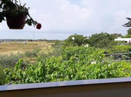 Foto do Hotel: Apartment in Nin with Terrace, Air conditioning, Wi-Fi (3722-1)