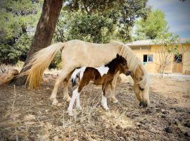 酒店照片: Gîte en pleine nature au milieu des chevaux et ânes