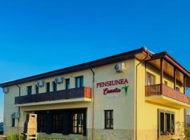 PENSIUNEA CAMELIA, hôtel à Baia