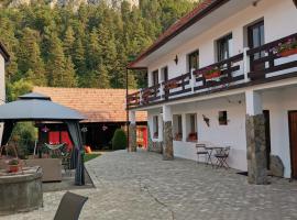 호텔 사진: Guest House Piatra Craiului