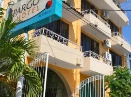 Pargos Hotel & Cowork, hotel in Puerto Escondido
