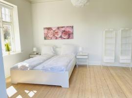 aday - City Central Mansion - 1 Bedroom with big terrace, hotel en Aalborg
