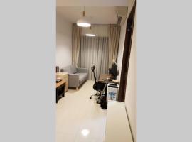 Hotel Photo: Brand New Apartment in City Fringe of Singapore