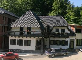 Băile Puturoasa, ξενοδοχείο σε Vama