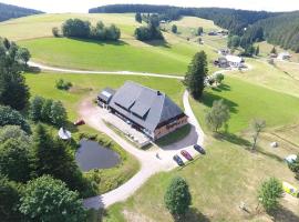 Zum Wilden Michel, hotel in Oberlinach