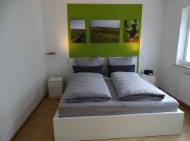 Zdjęcie hotelu: Rheinhessen Apartment