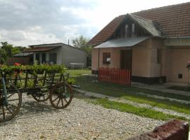 A picture of the hotel: Vendégház Nyaraló