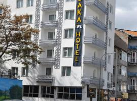 A picture of the hotel: SAKA LİFE OTEL