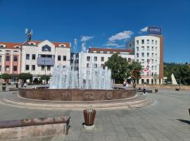 酒店照片: Tuzla Trg - Tuzla Square